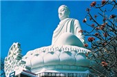 Những tôn tượng Đức Phật Thích Ca lớn nhất Việt Nam