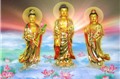 Phần 15: Những hạt ngọc trí tuệ Phật giáo  (Thích Tâm Quang)
