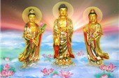 Phần 15: Những hạt ngọc trí tuệ Phật giáo (Thích Tâm Quang)