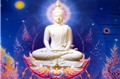 Phần 17: Những hạt ngọc trí tuệ Phật giáo  (Thích Tâm Quang)