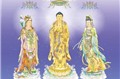 Phần 21: Những hạt ngọc trí tuệ Phật giáo (Thích Tâm Quang)
