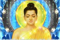 Phần 24: Những hạt ngọc trí tuệ Phật giáo (Thích Tâm Quang)