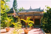 Thực hư chuyện “rắn tu“ ở ngôi chùa nổi tiếng miền Trung