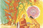 HT.Thích Trí Quảng: Phật không cho ai chức tước, tài lộc