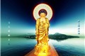 Phật tử, nên tu theo Pháp môn nào? (Hồng Quang)