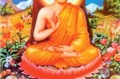 Đạo Phật là đạo như thật (HT.Thích Thanh Từ)