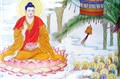 Thờ Phật Thích Ca mà chào nhau A Di Đà là như thế nào? (Thích Phước Thái)