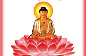 Thờ Phật Thích Ca mà niệm Di Đà, là như thế nào? (Thích Phước Thái)